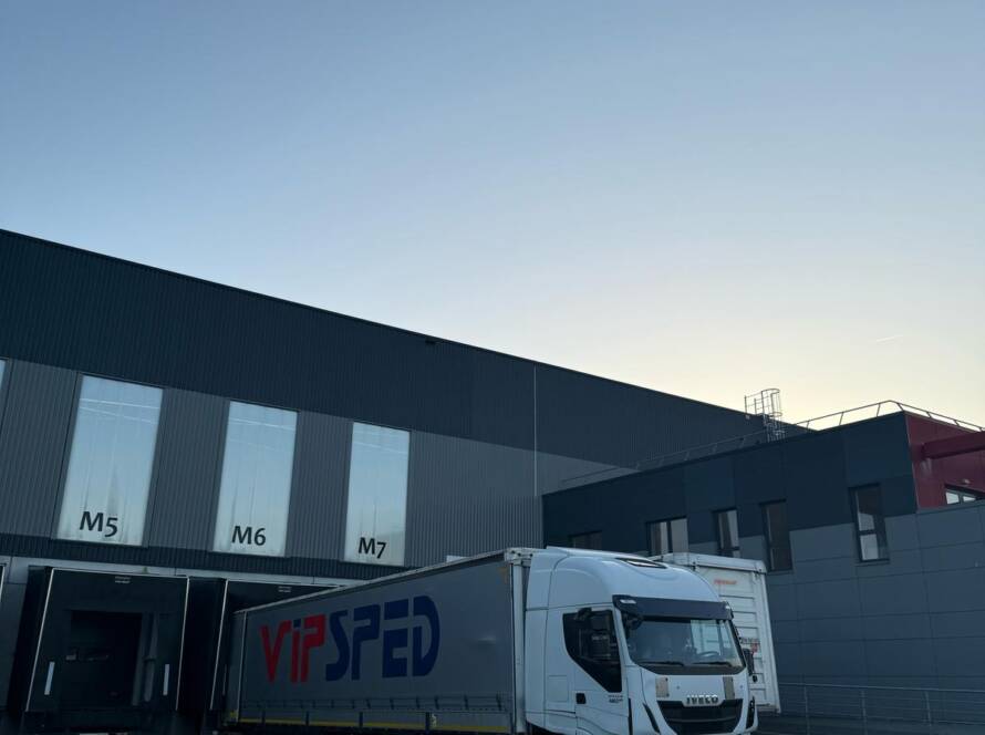 Vipsped